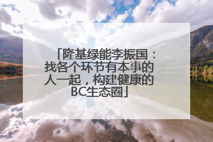 隆基绿能李振国：找各个环节有本事的人一起，构建健康的BC生态圈
