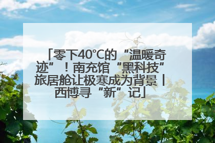 零下40℃的“温暖奇迹”！南充馆“黑科技”旅居舱让极寒成为背景丨西博寻“新”记