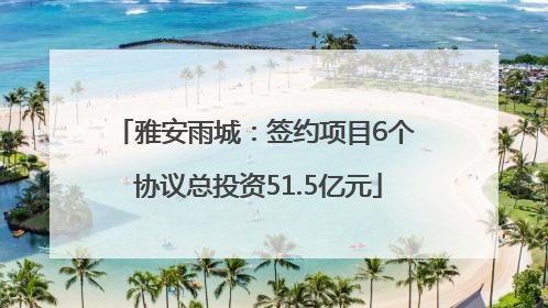 雅安雨城：签约项目6个 协议总投资51.5亿元