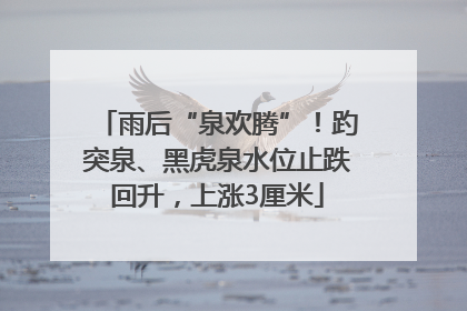 雨后“泉欢腾”！趵突泉、黑虎泉水位止跌回升，上涨3厘米