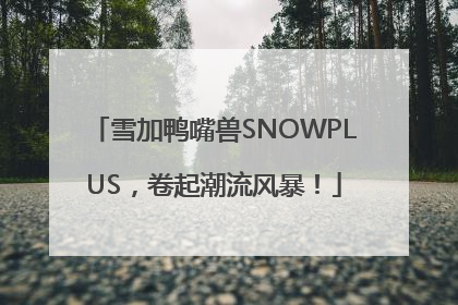 雪加鸭嘴兽SNOWPLUS，卷起潮流风暴！