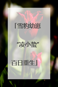 雪豹幼崽“凌小蛰”百日重生