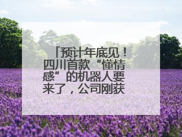 预计年底见！四川首款“懂情感”的机器人要来了，公司刚获数千万元融资