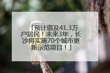 预计惠及41.3万户居民！未来3年，长沙将实施70个城市更新示范项目！