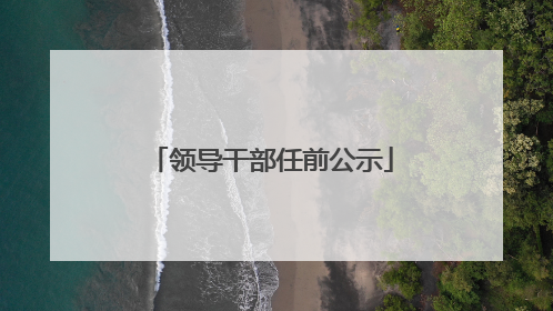 领导干部任前公示