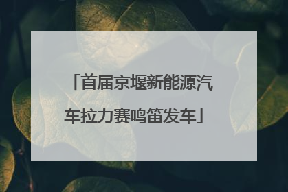 首届京堰新能源汽车拉力赛鸣笛发车