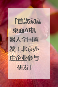 首款家庭桌面AI机器人全国首发！北京亦庄企业参与研发