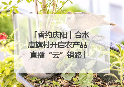 香约庆阳｜合水唐旗村开启农产品直播“云”销路
