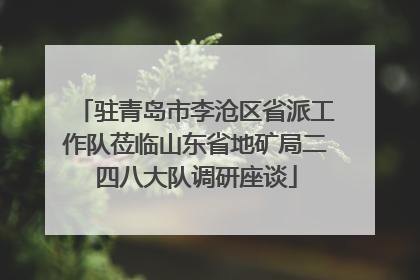 驻青岛市李沧区省派工作队莅临山东省地矿局二四八大队调研座谈