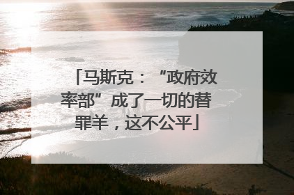 马斯克：“政府效率部”成了一切的替罪羊，这不公平