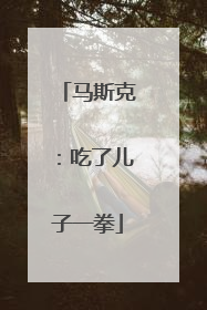 马斯克：吃了儿子一拳