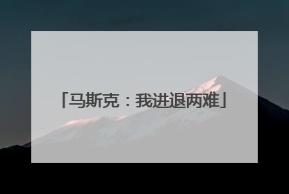马斯克：我进退两难