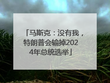 马斯克：没有我，特朗普会输掉2024年总统选举