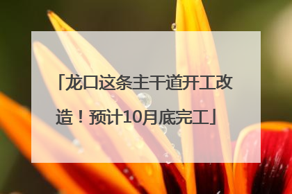 龙口这条主干道开工改造！预计10月底完工