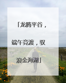 龙腾平谷，端午竞渡，驭浪金海湖