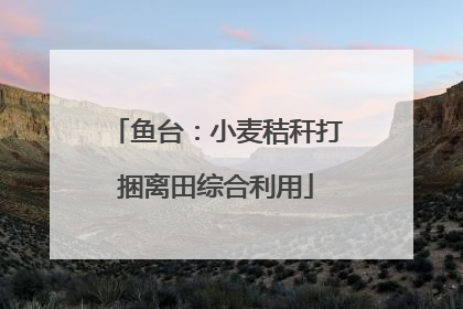 鱼台：小麦秸秆打捆离田综合利用