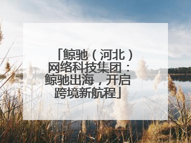 鲸驰（河北）网络科技集团：鲸驰出海，开启跨境新航程