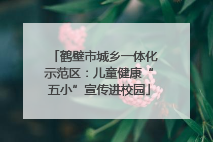 鹤壁市城乡一体化示范区：儿童健康“五小”宣传进校园