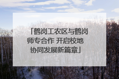 鹤岗工农区与鹤岗师专合作 开启校地协同发展新篇章