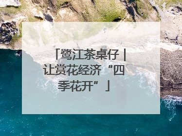 鹭江茶桌仔｜让赏花经济“四季花开”