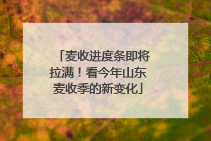麦收进度条即将拉满！看今年山东麦收季的新变化