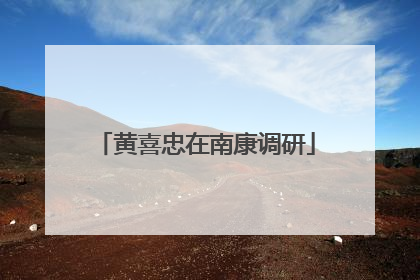黄喜忠在南康调研