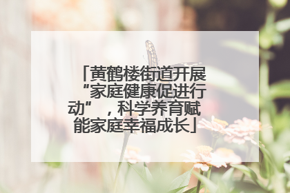 黄鹤楼街道开展“家庭健康促进行动”，科学养育赋能家庭幸福成长