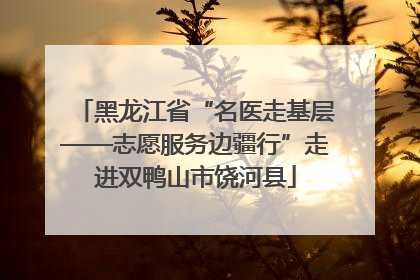 黑龙江省“名医走基层——志愿服务边疆行”走进双鸭山市饶河县