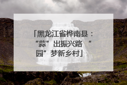 黑龙江省桦南县：“蒜”出振兴路 “园”梦新乡村