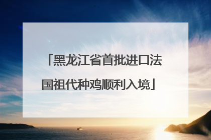 黑龙江省首批进口法国祖代种鸡顺利入境