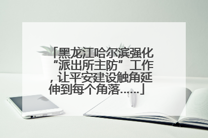 黑龙江哈尔滨强化“派出所主防”工作，让平安建设触角延伸到每个角落……