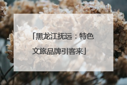 黑龙江抚远：特色文旅品牌引客来