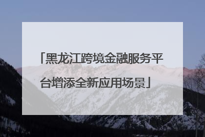 黑龙江跨境金融服务平台增添全新应用场景