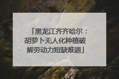 黑龙江齐齐哈尔：胡萝卜无人化种植破解劳动力短缺难题