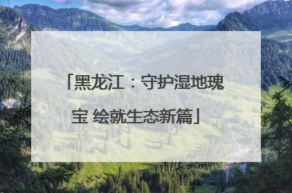 黑龙江：守护湿地瑰宝 绘就生态新篇