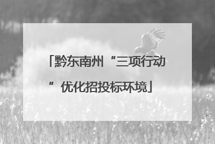 黔东南州“三项行动”优化招投标环境