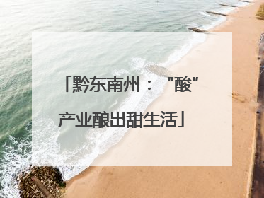 黔东南州：“酸”产业酿出甜生活