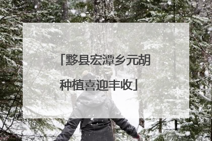 黟县宏潭乡元胡种植喜迎丰收