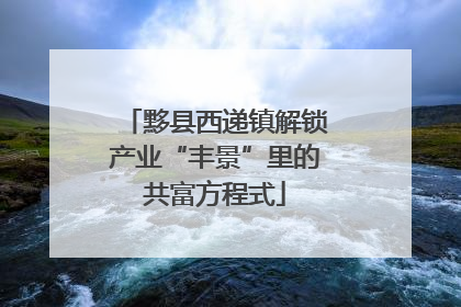 黟县西递镇解锁产业“丰景”里的共富方程式