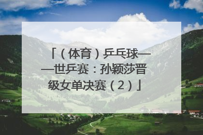 （体育）乒乓球——世乒赛：孙颖莎晋级女单决赛（2）