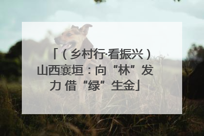 （乡村行·看振兴）山西襄垣：向“林”发力 借“绿”生金