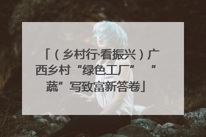 （乡村行·看振兴）广西乡村“绿色工厂” “蔬”写致富新答卷