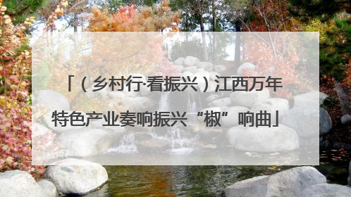 （乡村行·看振兴）江西万年特色产业奏响振兴“椒”响曲