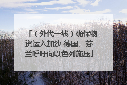 （外代一线）确保物资运入加沙 德国、芬兰呼吁向以色列施压