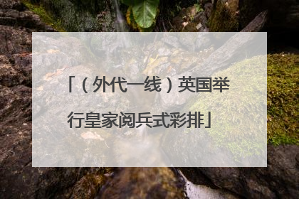 （外代一线）英国举行皇家阅兵式彩排