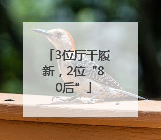 3位厅干履新，2位“80后”