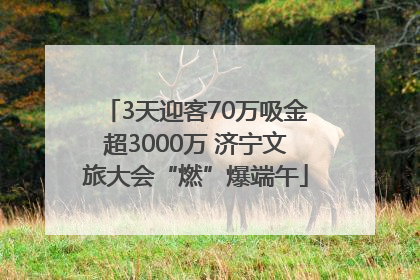 3天迎客70万吸金超3000万 济宁文旅大会“燃”爆端午