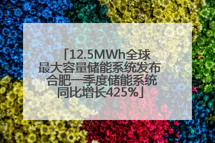 12.5MWh全球最大容量储能系统发布 合肥一季度储能系统同比增长425%