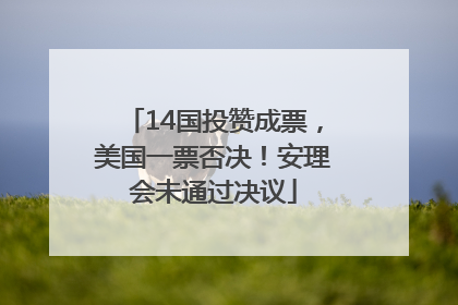 14国投赞成票，美国一票否决！安理会未通过决议