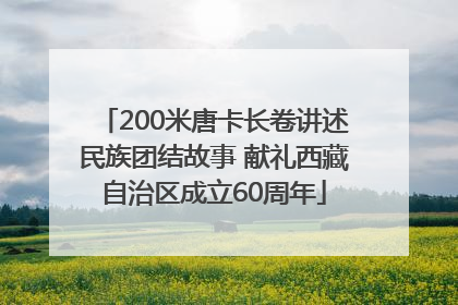 200米唐卡长卷讲述民族团结故事 献礼西藏自治区成立60周年